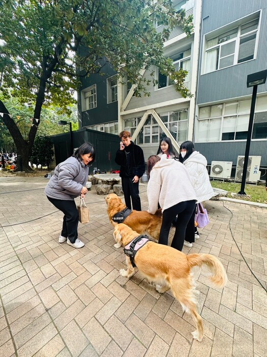 前進2025 OPEN DAY 校園開放日｜文創市集活動｜2024/12/18圖片